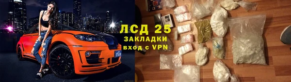 шишки Алзамай