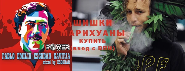 шишки Алзамай