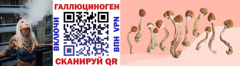 закладки ОМГ ОМГ ССЫЛКА Псилоцибиновые грибы мухоморы Калачинск
